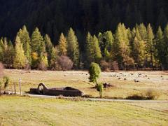 100 POUR CENT PUR HAUTES ALPES_000024